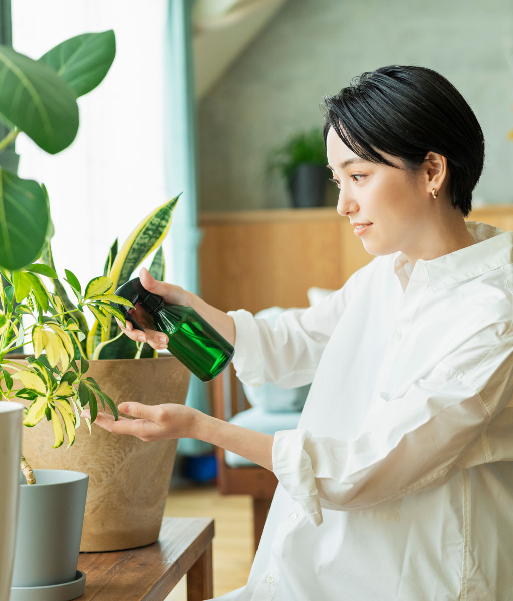 株式会社グラフィックステージ イメージ画像